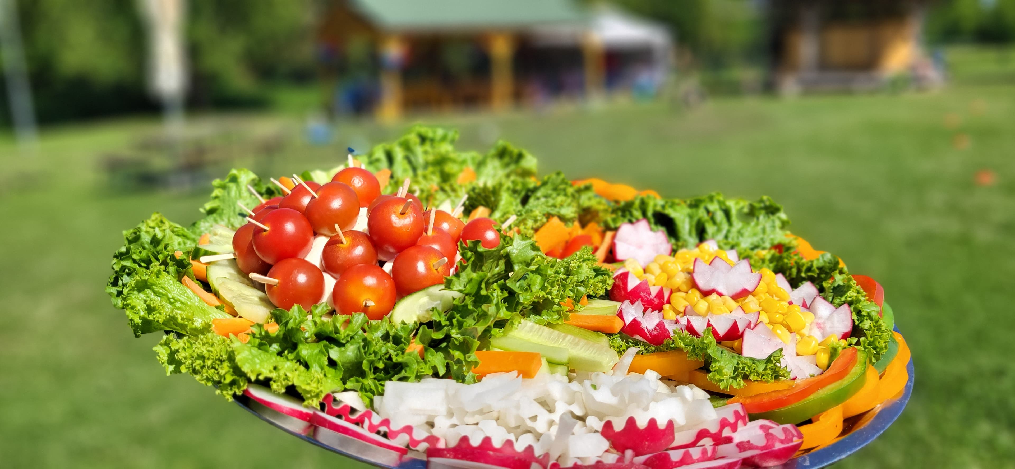 Catering a ubytování